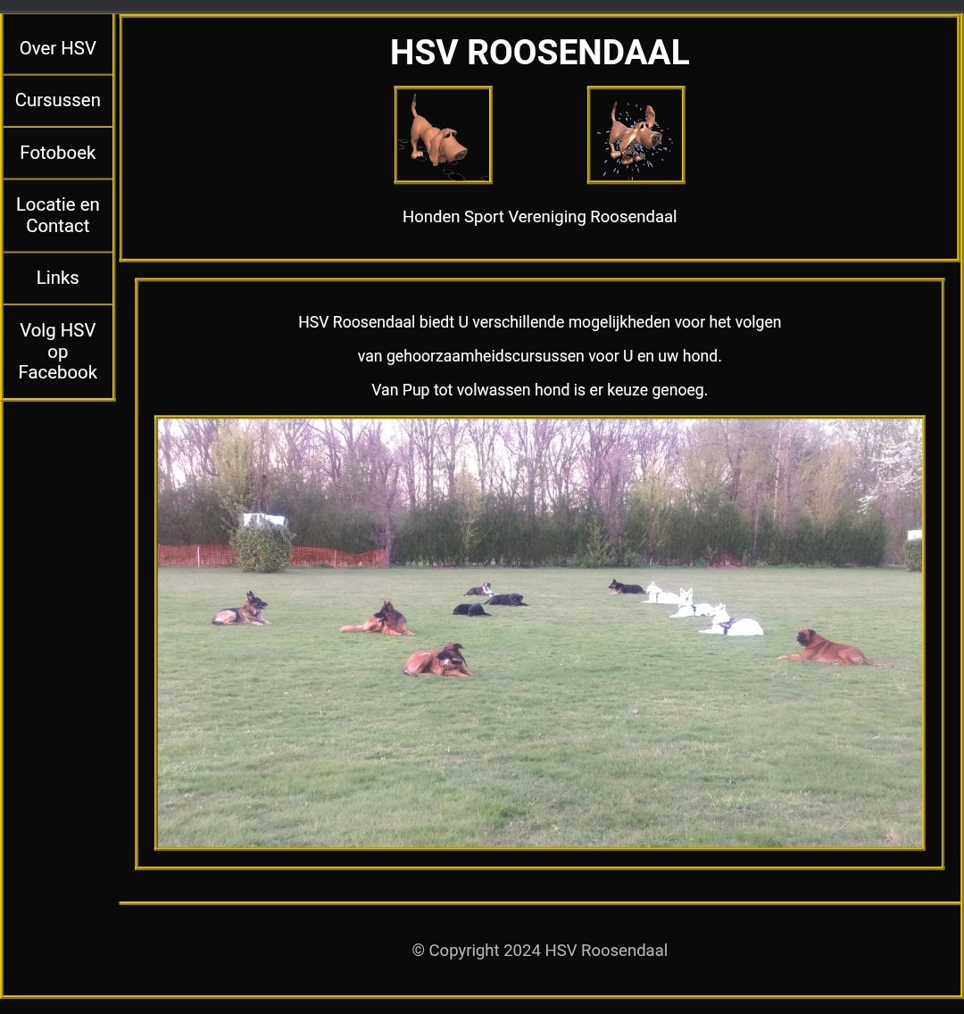Screenshot HSV site